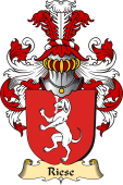 v.23 Coat of Family Arms from Germany for Riese