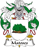 Spanish Coat of Arms for Matoses