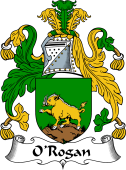 Irish Coat of Arms for O'Rogan