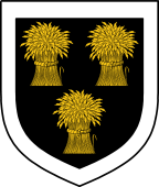 English Family Shield for Birkenhead or Birket