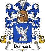 Coat of Arms from France for Bernard I