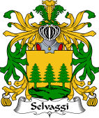 Italian Coat of Arms for Selvaggi