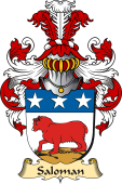 v.23 Coat of Family Arms from Germany for Saloman