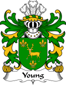 Welsh Coat of Arms for Young (of Tredrysi, Pembrokeshire)
