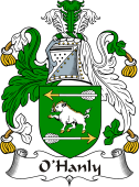 Irish Coat of Arms for O'Hanly