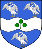 Irish Family Shield for Swan (Wexford)
