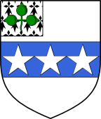 Irish Family Shield for Weir or Weer (Dublin)