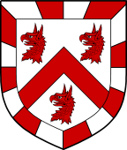 Irish Family Shield for O'Boran or Borran