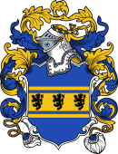 English or Welsh Coat of Arms for Taylor